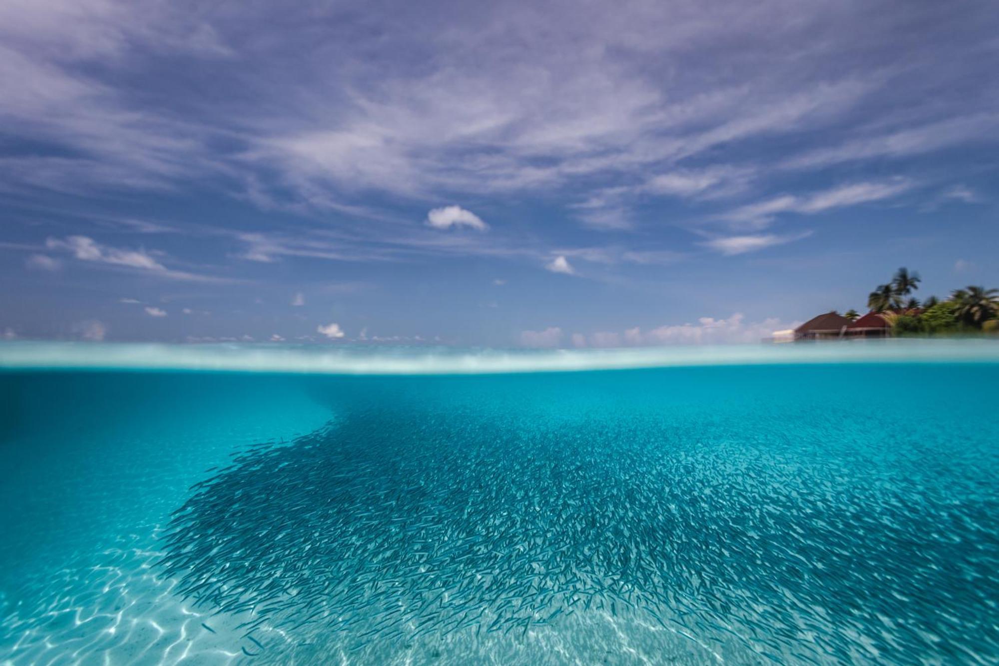 Dhigufaru Island Resort Kudarikilu Exteriér fotografie